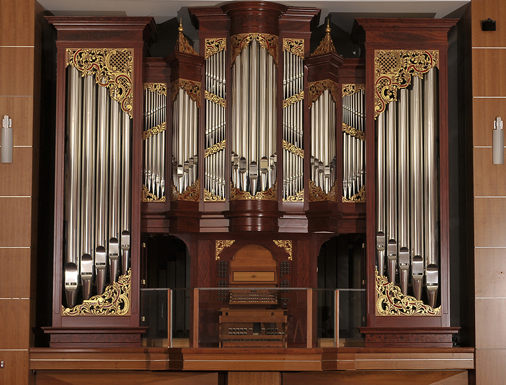Cox-organ