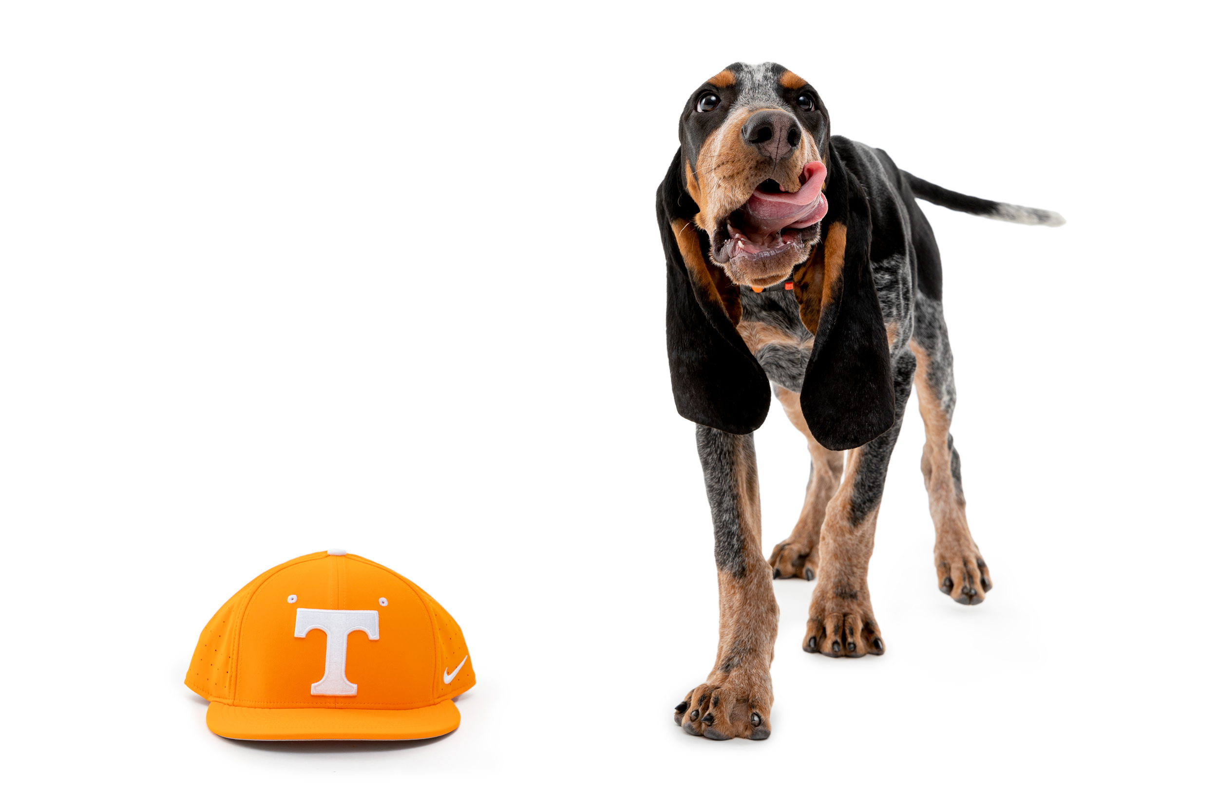 Tennessee football, The history University of Tennessee's Orange