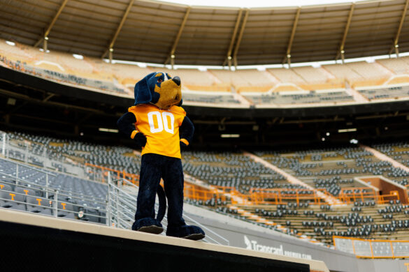 Mascot Smokey gazes off into the distance
