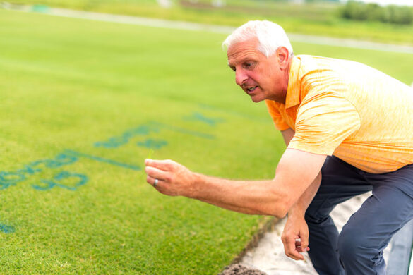 John Sorochan, a man with white hair wearing an orange UT t-shirt, inspects a small tuft of turf grass plucked from the experimental fields
