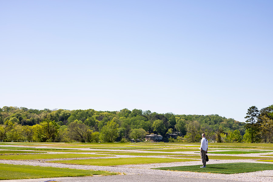 A lone figure gazes across squares of green grass divided by a grid of tan gravel paths