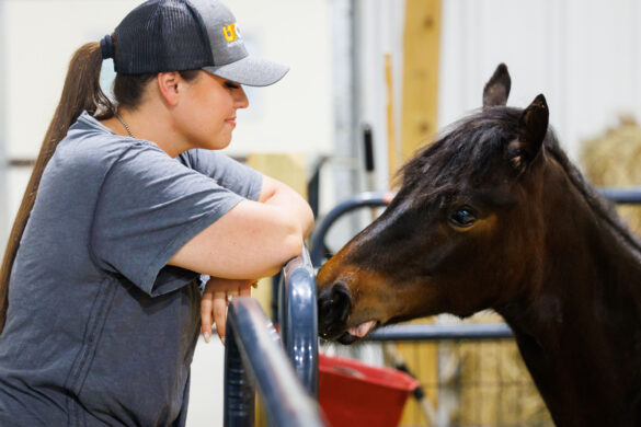 A young horse and one of his caregivers at UTVCM
