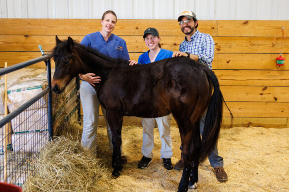 Three smiling people pose for a photograph with a young horse in a stall